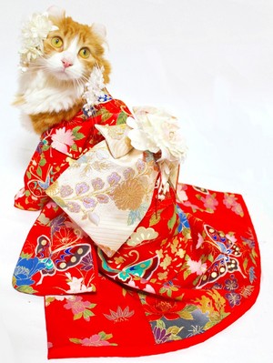 K-kimono-yunachann.jpg