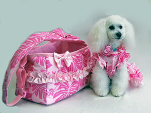 carrybag-pink1.jpg