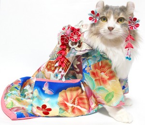 cereschann-kimono3.jpg