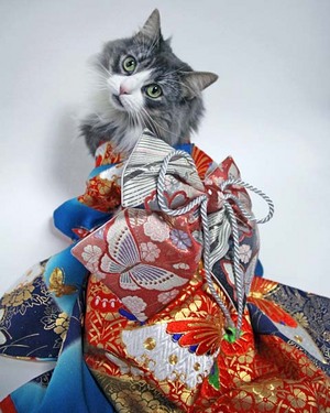 f-kimono-annchann1.jpg