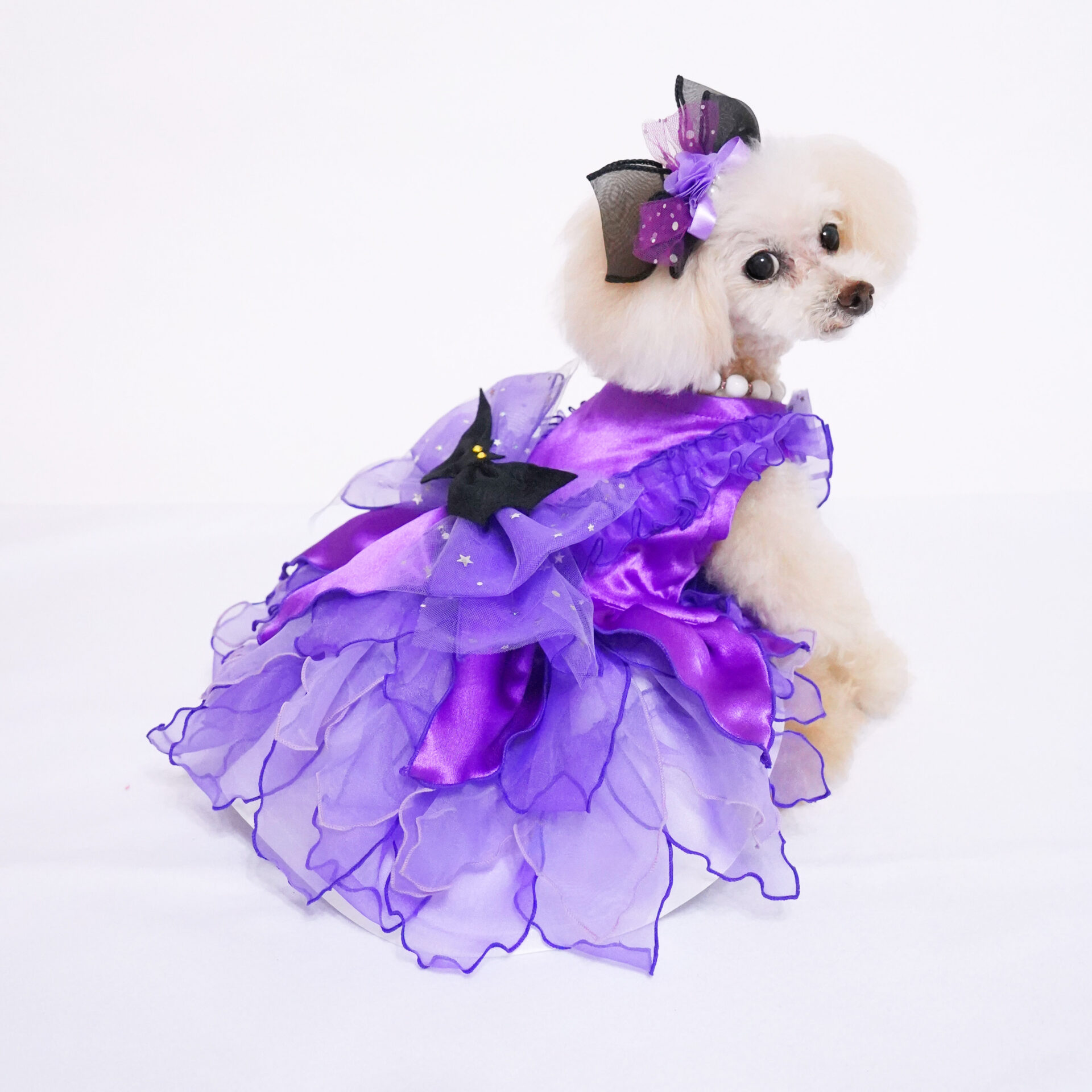 犬猫服1点限り パープルの魔女ドレス Sサイズ hw-19 | 犬服・猫ペット 