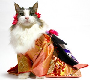 k-kimono-razurichann.jpg