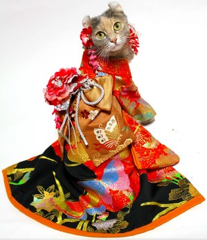 k-kimono-vivichann.jpg