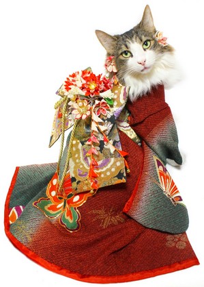kimono-churinnchann1.jpg