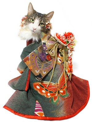 kimono-churinnchann3.jpg
