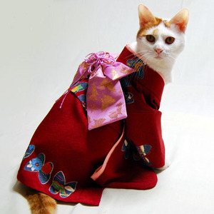 kimono-ennji-chougara3.jpg