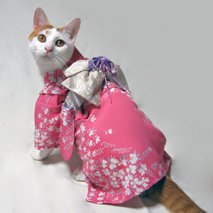 kimono-pink-nadesikogara3.jpg