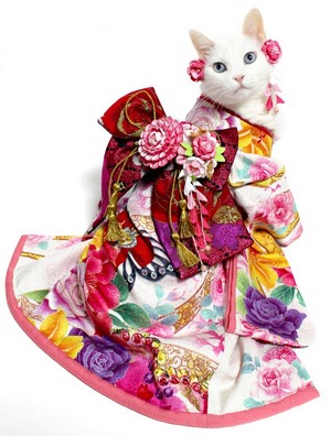 kimono-safaiachann1.jpg