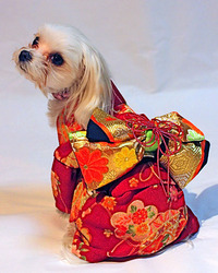kimono-temarigara-aka.jpg