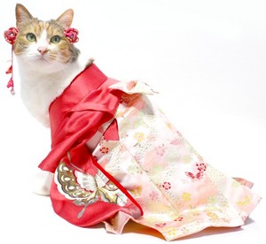 kimono+hakam-riannchann3.jpg