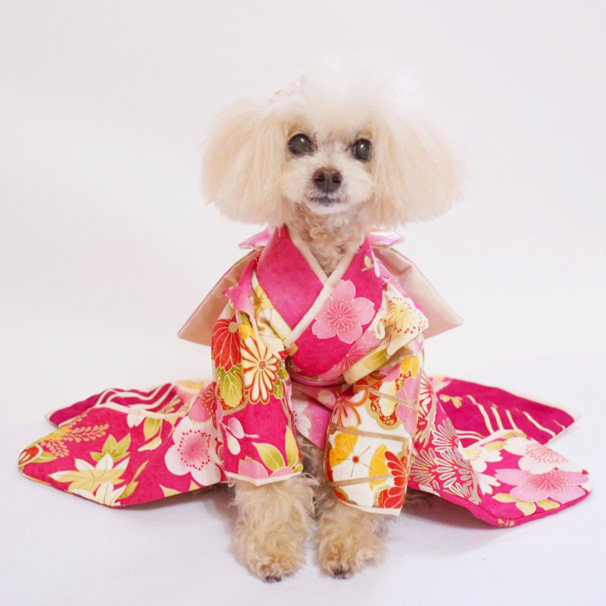 犬の振袖犬の着物✨犬用本格振袖着物 正絹 S ピンク系 新品