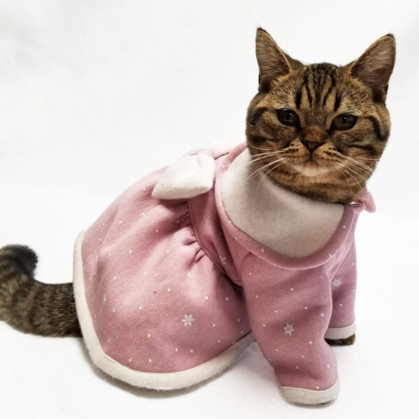 犬猫服コート1点限り ピンクコートドレスSサイズ