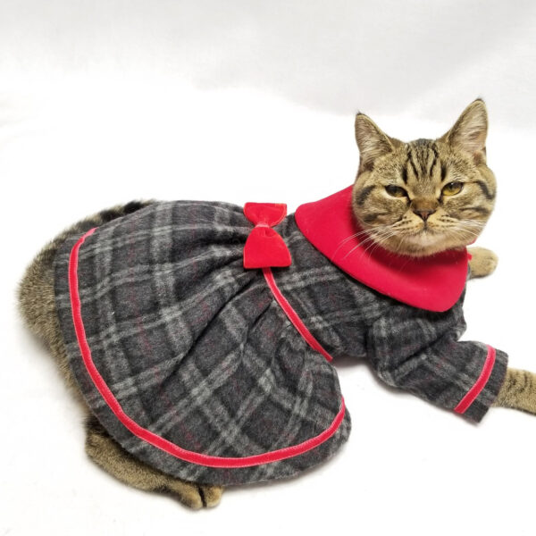 犬猫服オーダー グレーチェックコートドレス