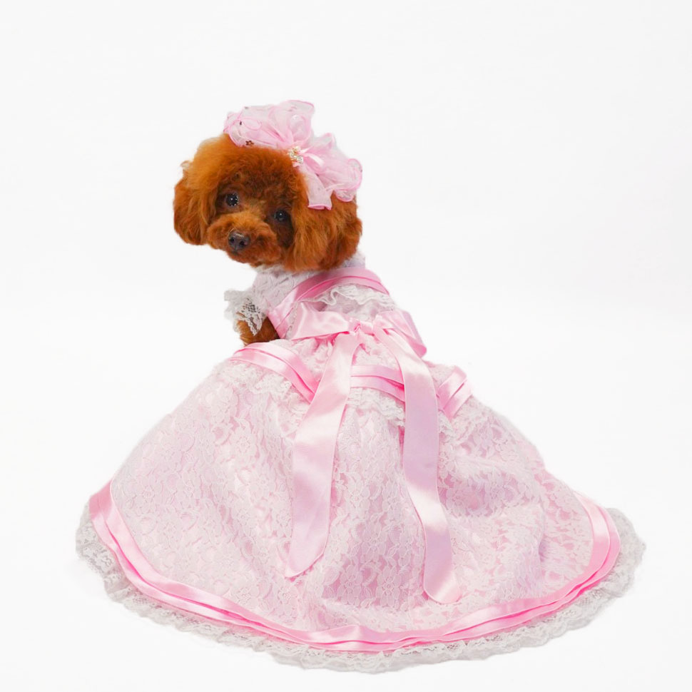 犬猫服ドレス1点限り ピンクのリボンドレス Sサイズ