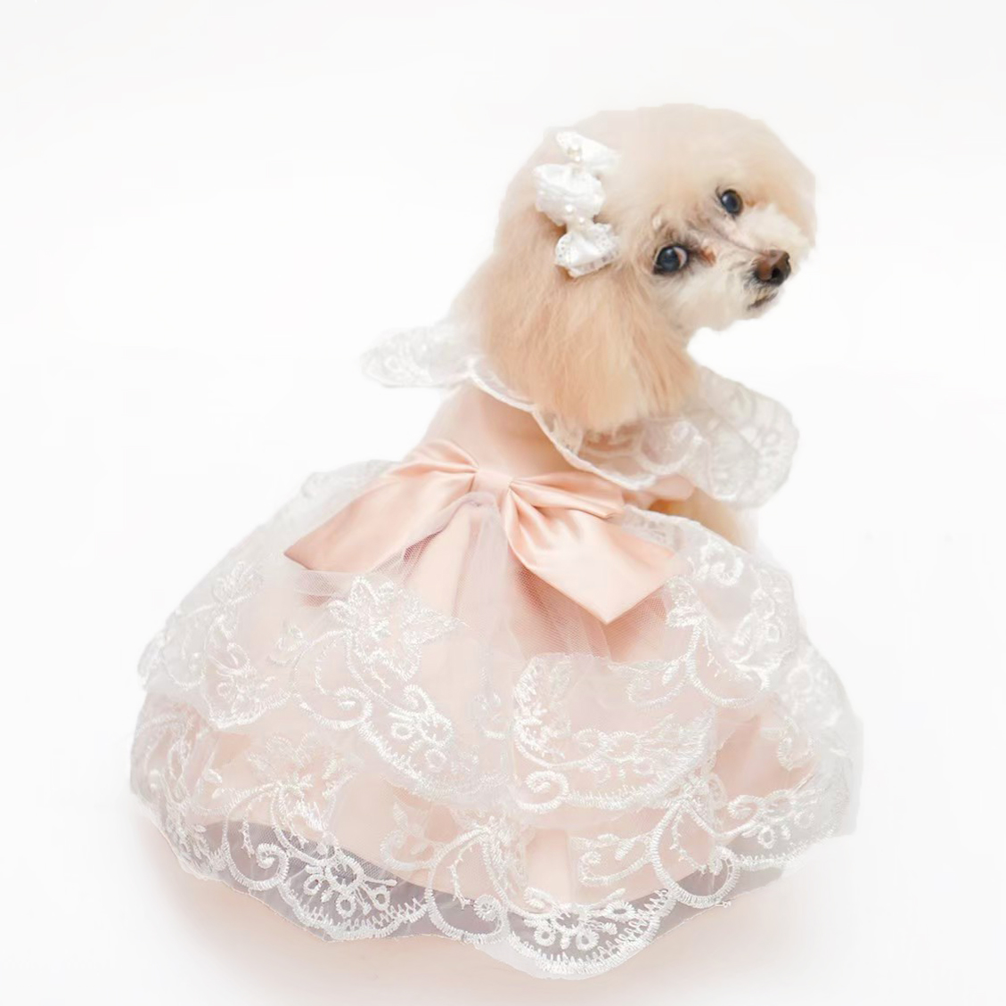 犬猫服ドレス1点限り ピンクベージュドレス Sサイズ | 犬服・猫ペット