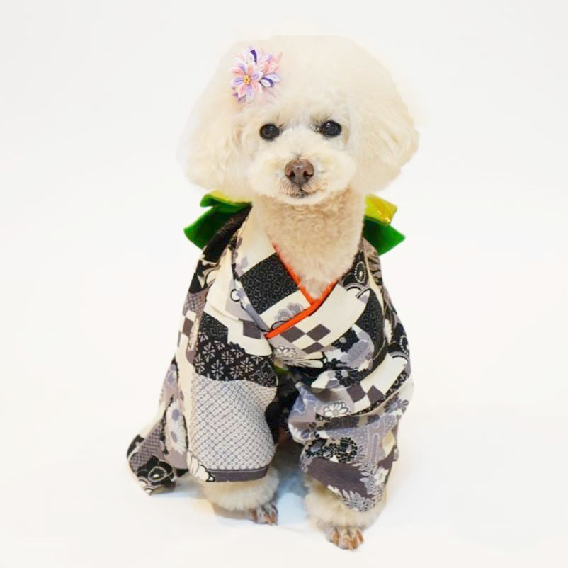 犬猫服1点限り 着物 Ⅿサイズ ki-08 | 犬服・猫ペット服・婦人服 