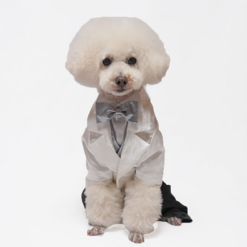 犬猫服1点限り タキシード白ベスト付き Mサイズ | 犬服・猫ペット服