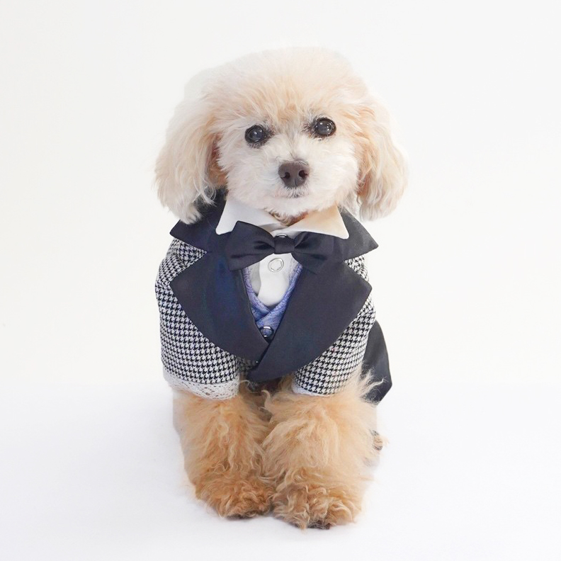 犬服dogwear☆アトリエGG☆コート☆オードリープティート2021☆白 - 犬用品