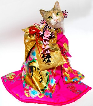 riannchann-kimono1.jpg
