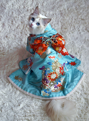 rionnkunn-kimono1-s.jpg