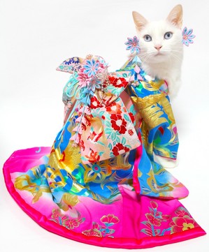 safaiachann-kimono4.jpg