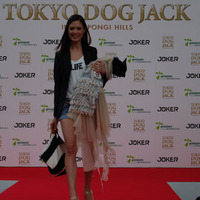 tokyo dog jack moderu2.jpg