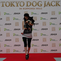 tokyo dog jack moderu5.jpg