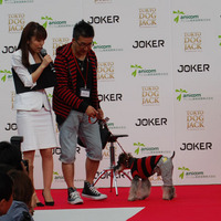 tokyo dog jack-syutujyousya9-2.jpg